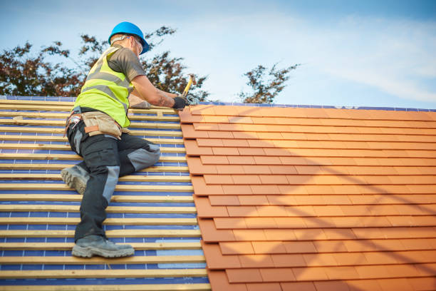 Best Gutter Installation and Repair  in Waldo, FL